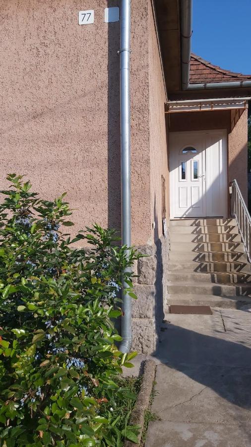 Apartament Nagyiek Haza / Granny'S House Ostrzyhom Zewnętrze zdjęcie