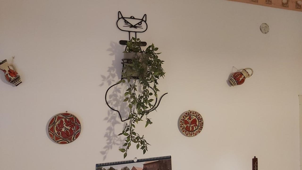 Apartament Nagyiek Haza / Granny'S House Ostrzyhom Zewnętrze zdjęcie