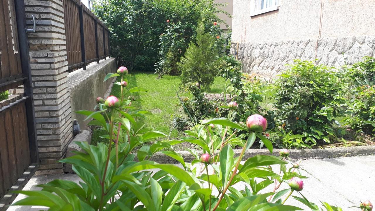Apartament Nagyiek Haza / Granny'S House Ostrzyhom Zewnętrze zdjęcie